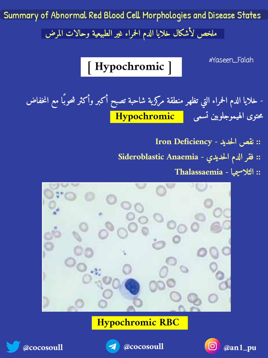 ياسيـن فالح tweet media