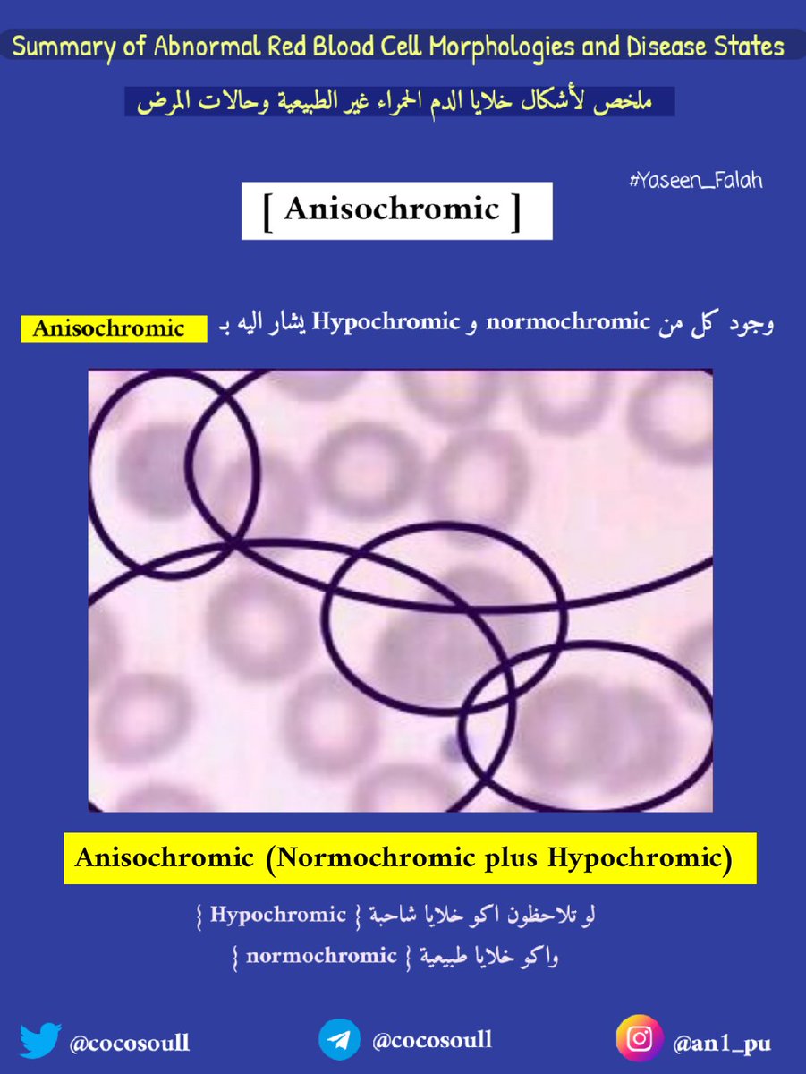 ياسيـن فالح tweet media