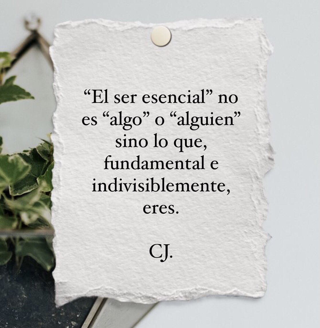 Cristóbal Jodorowsky (@cristobaljod) on Twitter photo 