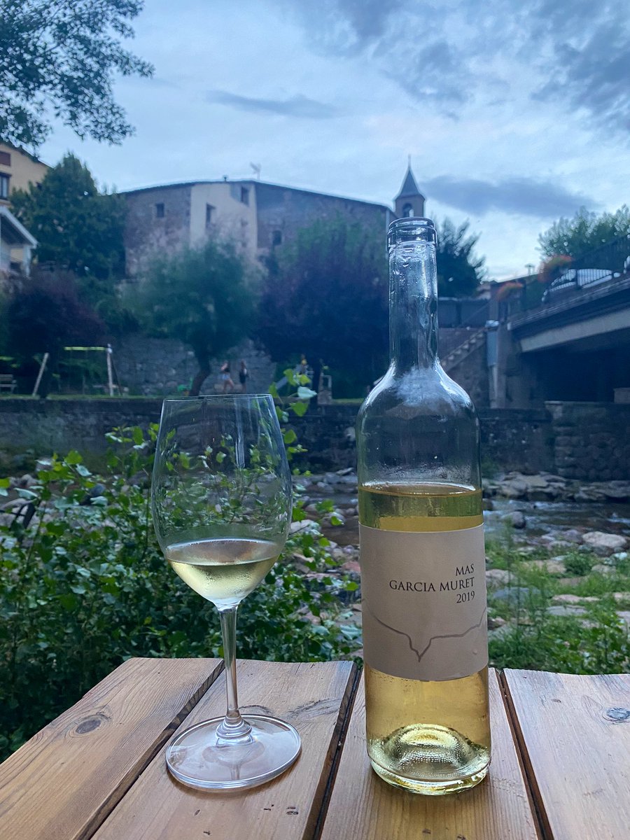 Guillem Carol tweet media