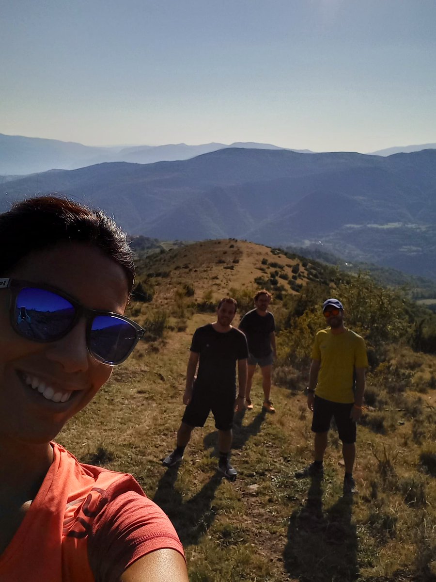 Guillem Carol tweet media