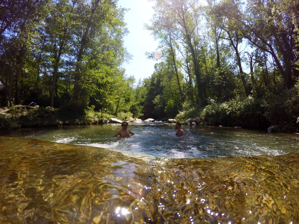 Guillem Carol tweet media