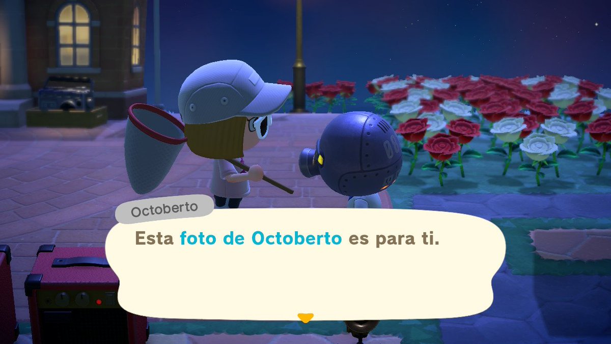 sonia_developer's tweet photo. Semana de nuevas fotos vecinos!!! 🏝️🥰
#ACNH
#AnimalCrossingNewHorizons
#cervasio #octoberto https://t.co/0vtni12Xl0