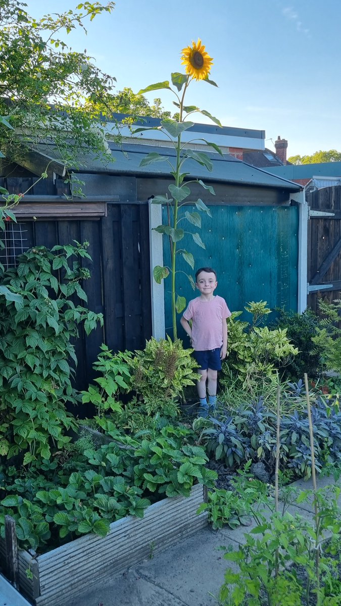 Mrs Cooper tweet media