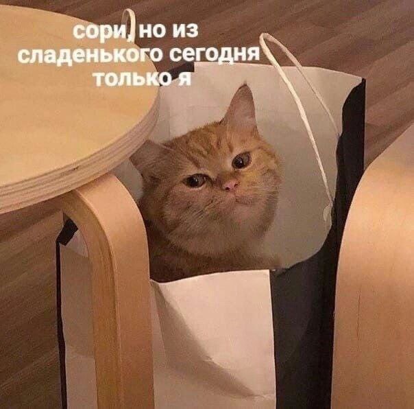 sory, but today I'm the only sweet thing