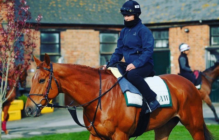 BrodieHampson1's tweet photo. Happy retirement big manβ¦ What a star you have beenβ¦ π§‘ #GlenShiel #Group1Winner #BiggestLegend ππΌ @Archie_Watson @HambletonRacing https://t.co/rv5yhpD95G
