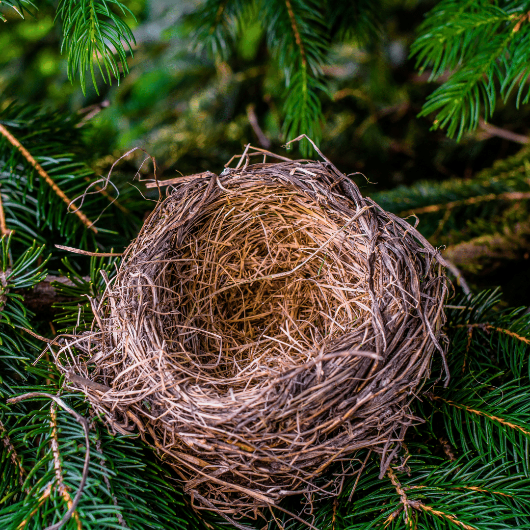 davidsnowSF's tweet image. "Do empty-nesters still need life insurance?" #CommonInsuranceQuestion

It depends. However, we believe it's still worth having life insurance in case of the unexpected! Contact the #DaveSnowStateFarm team to discuss your options today! (716) 488-7042