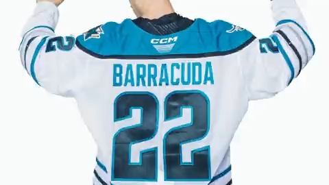 San Jose Barracuda - ‪On January 12th the #SJBarracuda will be wearing  specialty jerseys created by the players! Here's a deeper look at what the  guys came up with ⤵️‬