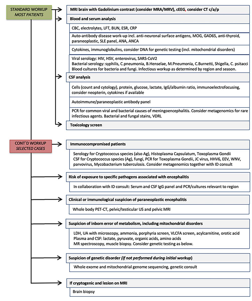 International consensus recommendations for management of New Onset Refractory Status Epilepticus (#NORSE) including Febrile Infection‐Related Epilepsy Syndrome (#FIRES): Summary and Clinical Tools onlinelibrary.wiley.com/doi/abs/10.111… #epilepsy #Antiseizuremedication @IlaeWeb @WileyNeuro