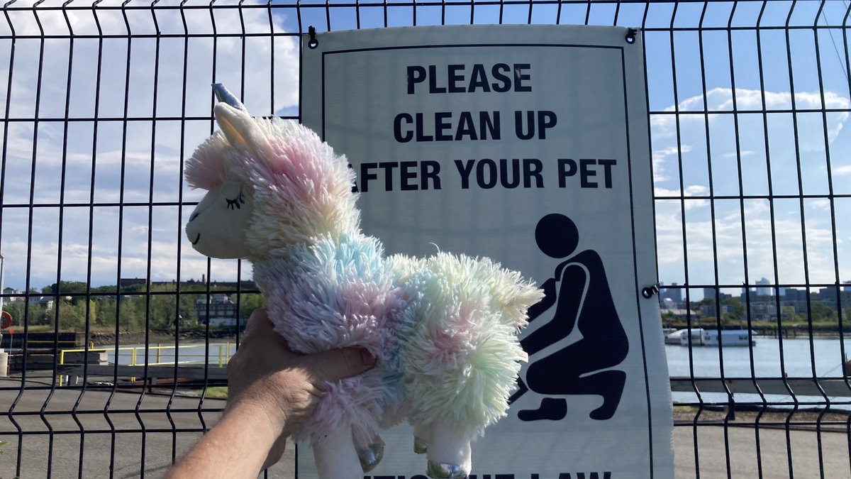 Sean_P_Doyle's tweet photo. My daughter gives me some of her stuffed animals every morning before I leave for work and I take pics of them in different locations while I’m scouting #locationlife #setlife #productionlife https://t.co/9XD2B77aeg