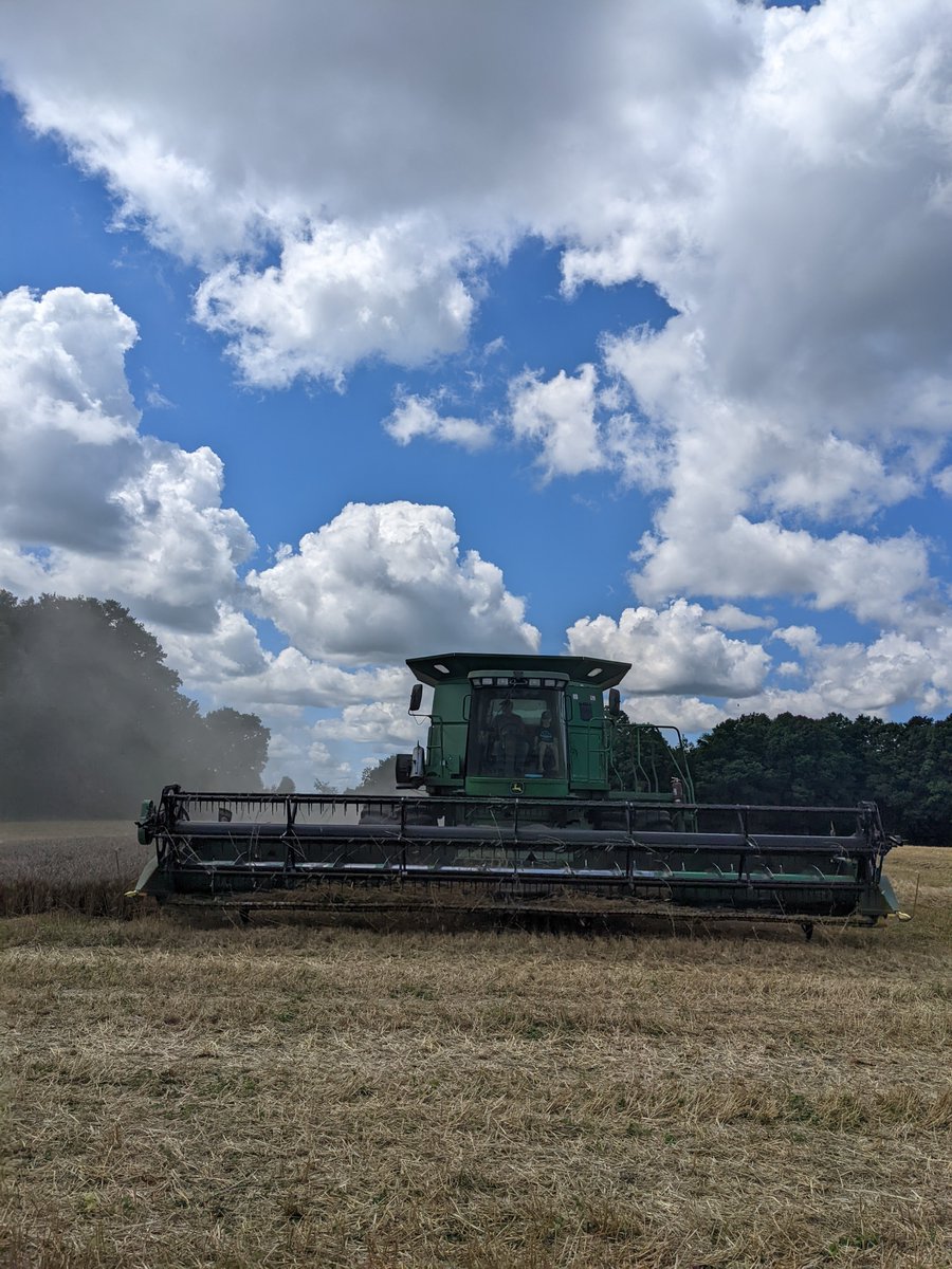 thewheatteam's tweet photo. @WheatTeam_Tim and I had a good boss checking our numbers today to make sure this wheat plot checks out.  Good yields! #SeriousWheat #HRW #SRW Thanks @NWCoop for the weigh wagon use! https://t.co/0yVzxl5Mxh
