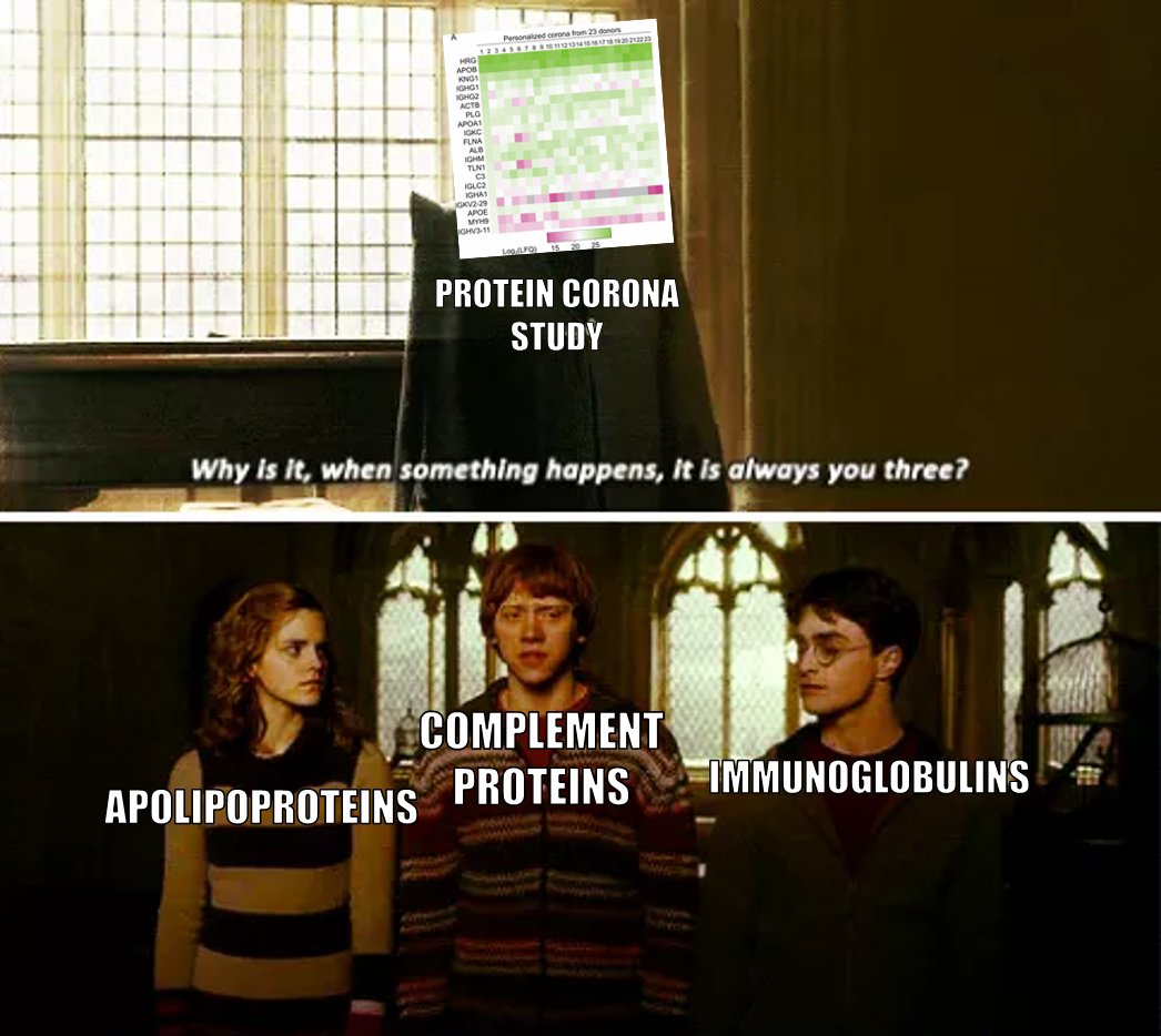 Wilson Poon tweet media