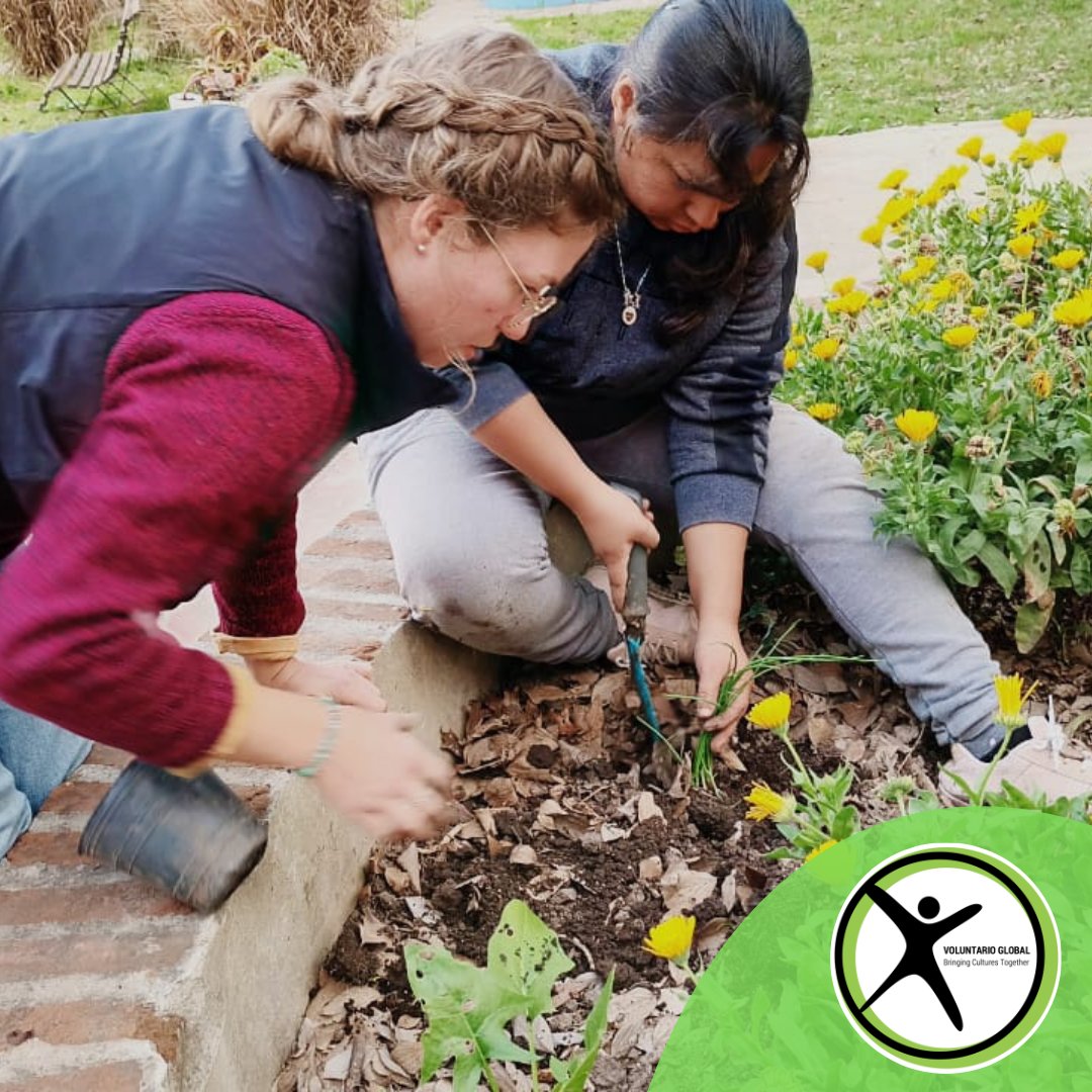 VG_organisation's tweet photo. Carla is volunteering at Milpa Community 💚   here's she on her first day with the gardening activities 💪

#sustainableproject #volunteerabroad #volunteerargentina #communitydevelopment #volunteerbuenosaires https://t.co/vXK9lOktDU