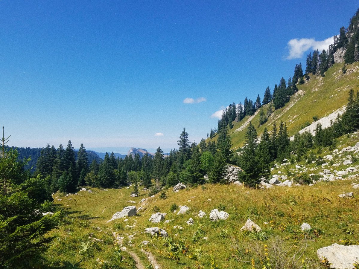 In the Alps with the week, we hiked and camped and saw lots of chamoix 📷