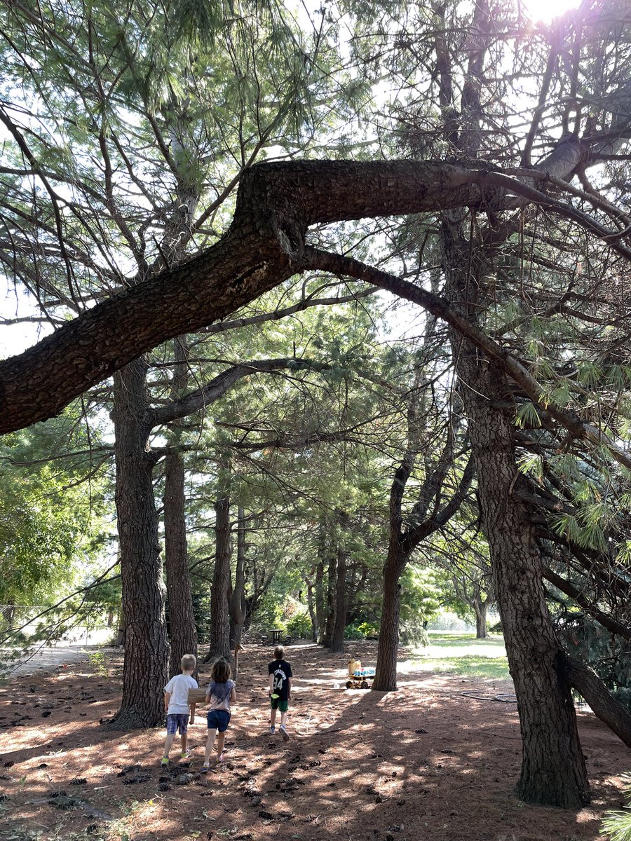 Ruth Staples Child Development Lab School-UNL tweet media