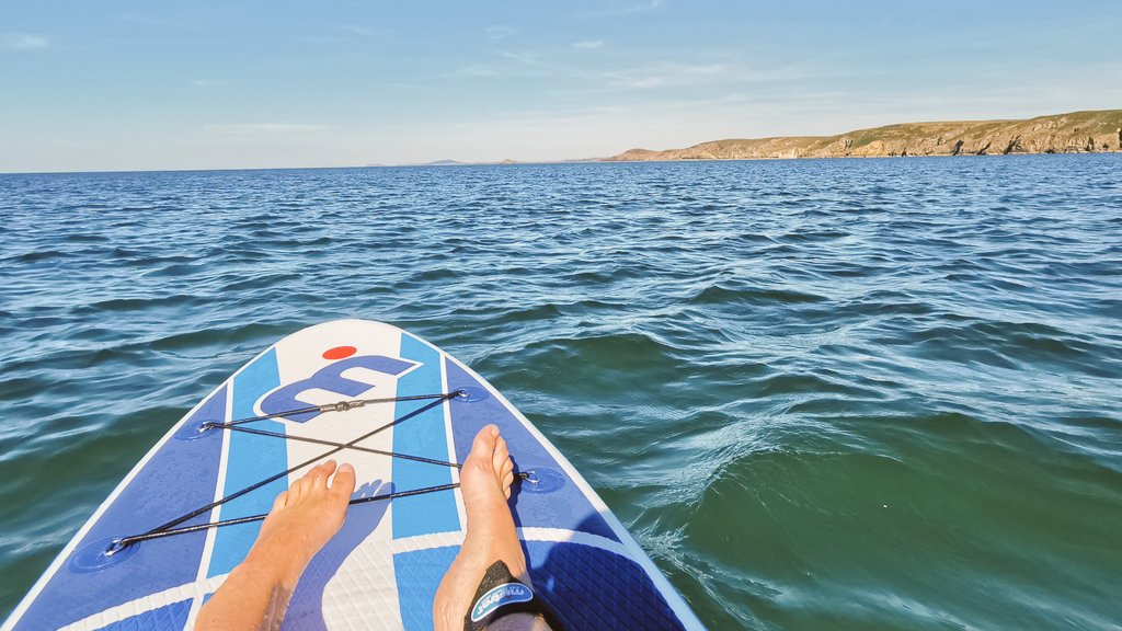 Miss A Waters 🏴󠁧󠁢󠁷󠁬󠁳󠁿 tweet media