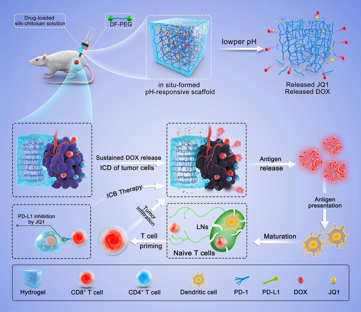 New online: 'Injectable pH-responsive hydrogel for combinatorial chemoimmunotherapy tailored to the tumor microenvironment' by Yangyun Wang & colleagues. 

Read more👇
jnanobiotechnology.biomedcentral.com/articles/10.11…