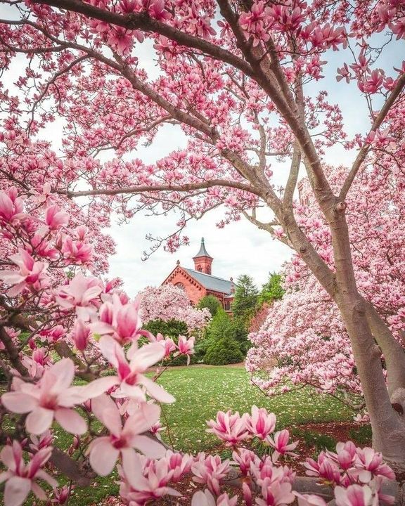 BloomableShop's tweet image. 