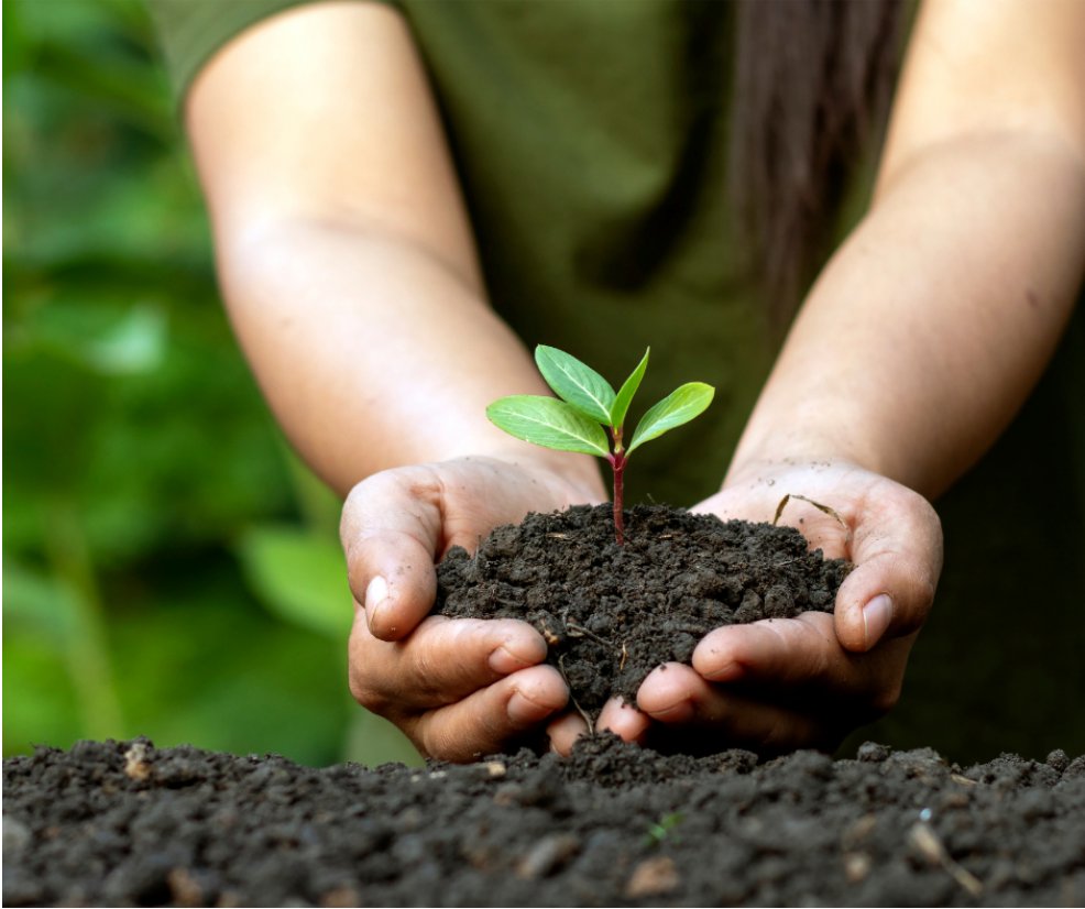 DECEP UPRB tweet media