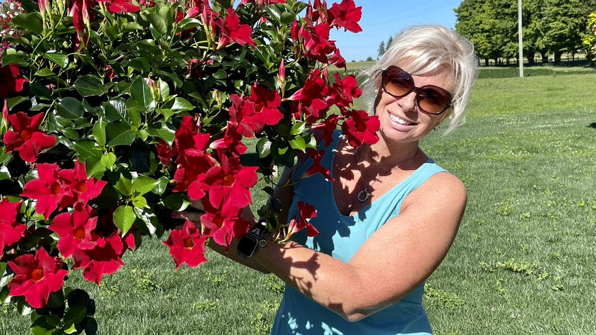 Tanya Carvalho tweet media