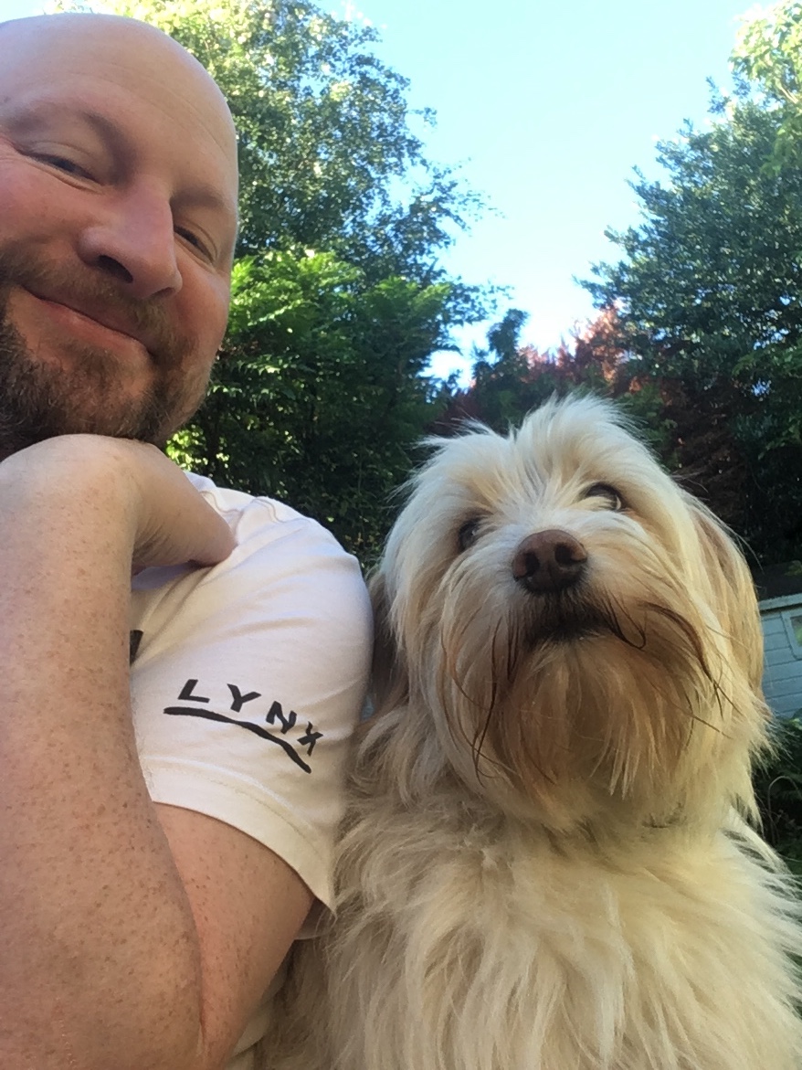 David Barbarossa tweet media