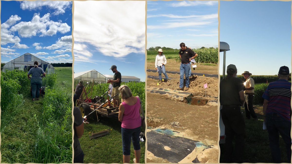NWCH's tweet photo. Thanks to everyone involved with the Pinney Purdue Veg Field Day this week! @stephenlmeyers @JeanineArana13 @OrganicAgPurdue @VeggieGuan @Ingwell_vegIPM https://t.co/8W6lPqRRJL