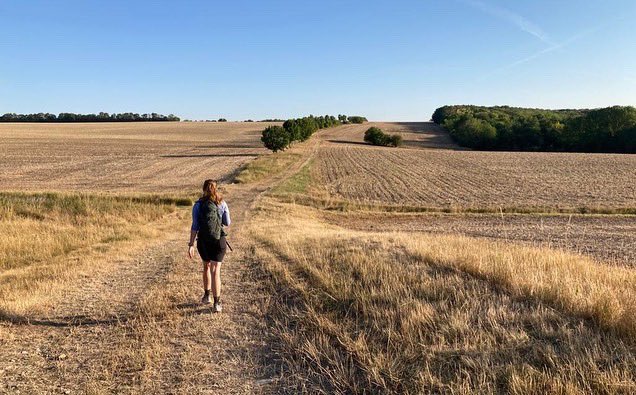thomas2508's tweet photo. Die „Berge“ sind geschafft, jetzt geht es eigentlich nur noch flach weiter. Die 7 Helden erreichten heute das nächste Bundesland - Niedersachsen.🥾💪
#GermanTrail #Tag13 #47km https://t.co/gXxKTjtPQu
