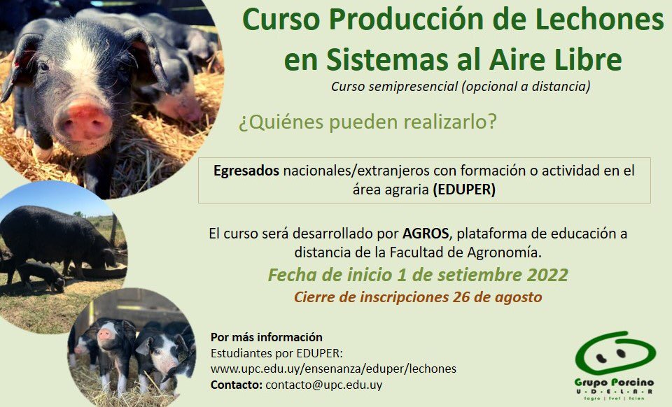 GrupoPorcinoUy's tweet photo. Si sos egresado con formación o actividad en el area agraria te invitamos a participar del curso “Producción de lechones en sistemas al aire libre” 🐷  
Por mas info👇🏼👇🏼
🔗 https://t.co/6pxTQS2B9g

Los esperamos 🤗🐷 https://t.co/FRPHaDMtNn
