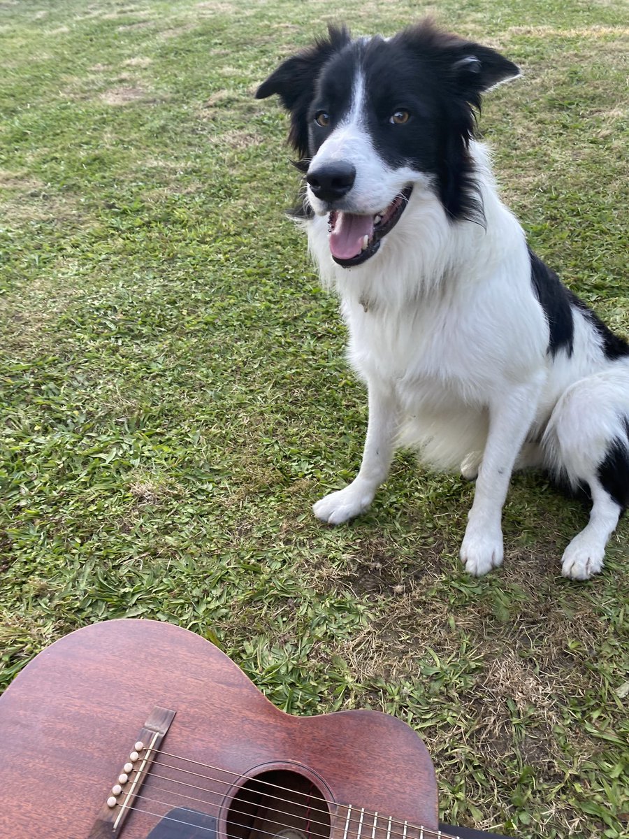 GwynethGlyn's tweet photo. #Marfar 🐾 https://t.co/4JP1UlaroK
