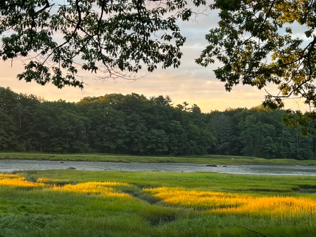 CTD3's tweet photo. #Us_Folk on #WMPGFM #Radio Broadcasting from #USM Aug12 2022, New Tracks; #MikeBlock #Hawktail #ArchiveValley #DanTyminski #HaroulaRose #NeilsonHubbard
#TheDeer #AHI #AnnaMieke #TimEaston #DanNavarro #EricBibb #NickHart Listen 90.9FM 8:30-10:30 A.M.EDT
https://t.co/Z1ZHoAFRW3 https://t.co/oz0GQQmGRg