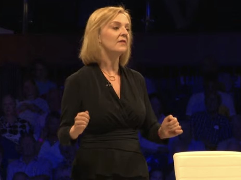 "I think one of the most depressing sights when you're driving through England is seeing fields that should be full of crops or livestock, full of solar panels," says Liz Truss.