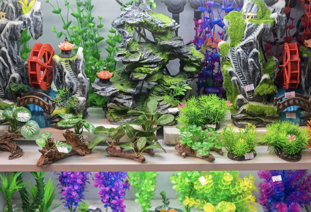 PetsPlayUK's tweet photo. Jazz up your fish tank and give your finned friends some new spaces to hide and explore with our range of aquarium decorations.

With lots of colours and sizes available, you’ll be well on your way to creating the coolest tank in town! 🐟 https://t.co/N0jmjQ9UJD
