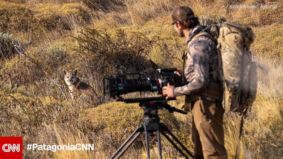 CNNOriginals's tweet photo. Here’s a behind-the-scenes look at the extreme and risky conditions crews took to capture the creatures living in one of the most remote places on Earth. #PatagoniaCNN airs Sunday at 9p ET/PT https://t.co/A0nB3jxBp0