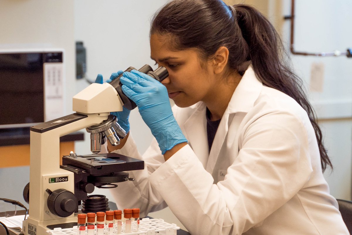 CRANIA_Toronto's tweet photo. We're looking for a Scientific Associate to join our team. 

You'll be finding solutions to complex neurological disorders and mental health conditions at Canada's top academic, research and clinical hub for neurotechnological innovation. 

Apply now: https://t.co/XfmwzK3hRv https://t.co/N4xfeTjX0w