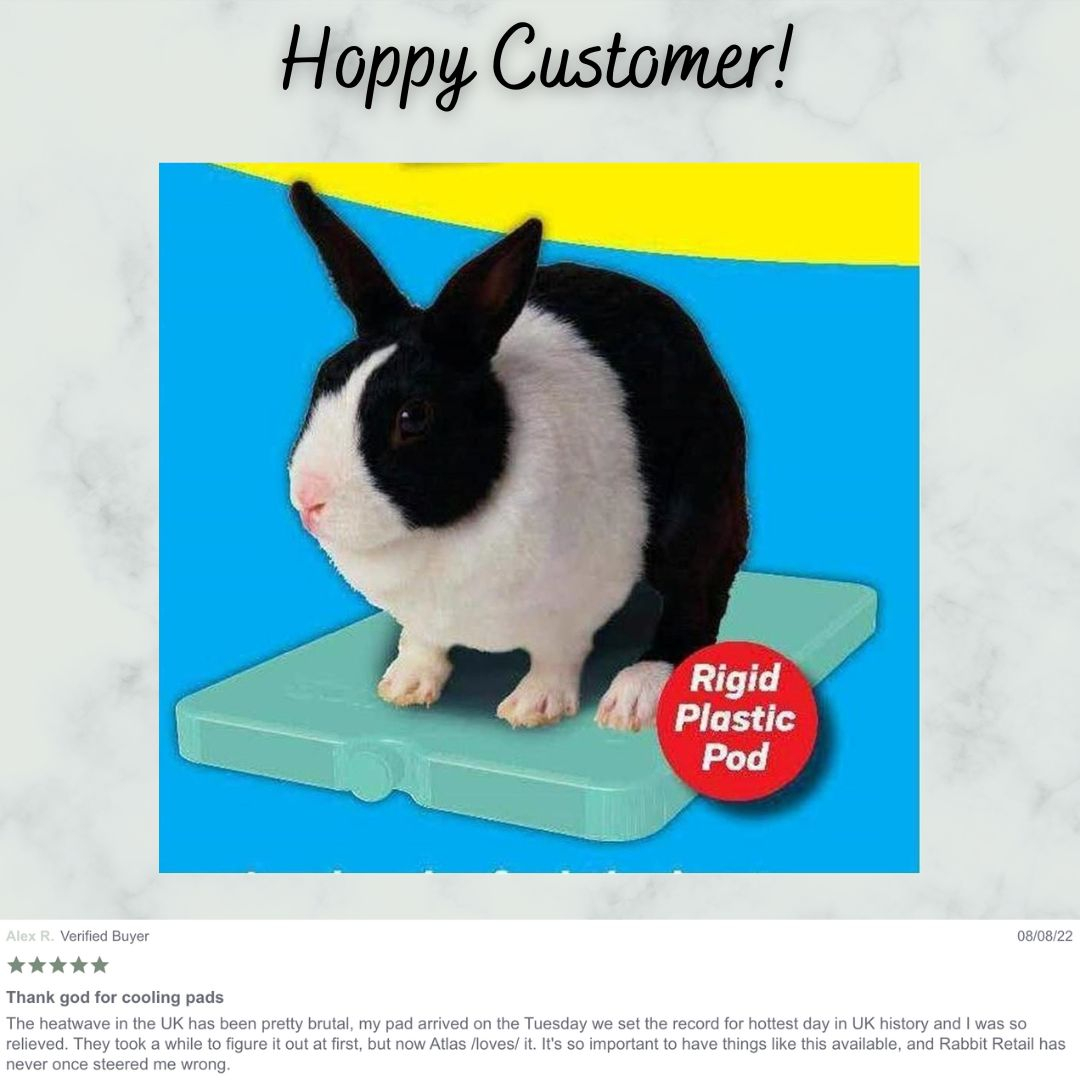 RabbitRetailUK's tweet image. Hoppy customers are cool customers! #Bunny #Rabbit #OneHopShop #RabbitRetail #HoppyCustomer #Review #SupportSmallBusiness