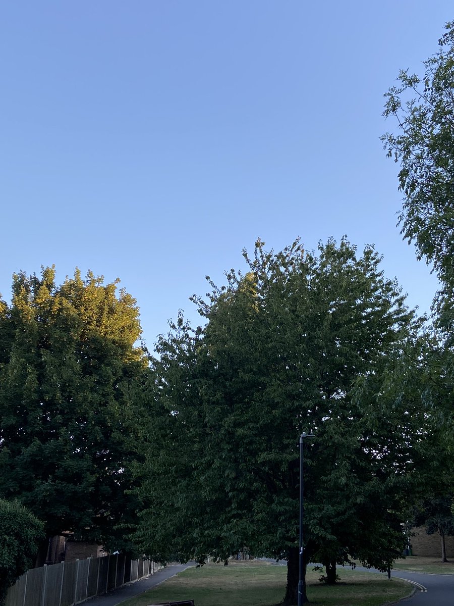 J_Critcher's tweet photo. #NursesActive #cccunursesactive @CCCUNursing cooler now so just finished πΆπ»ββοΈ https://t.co/NvlvgaA51M