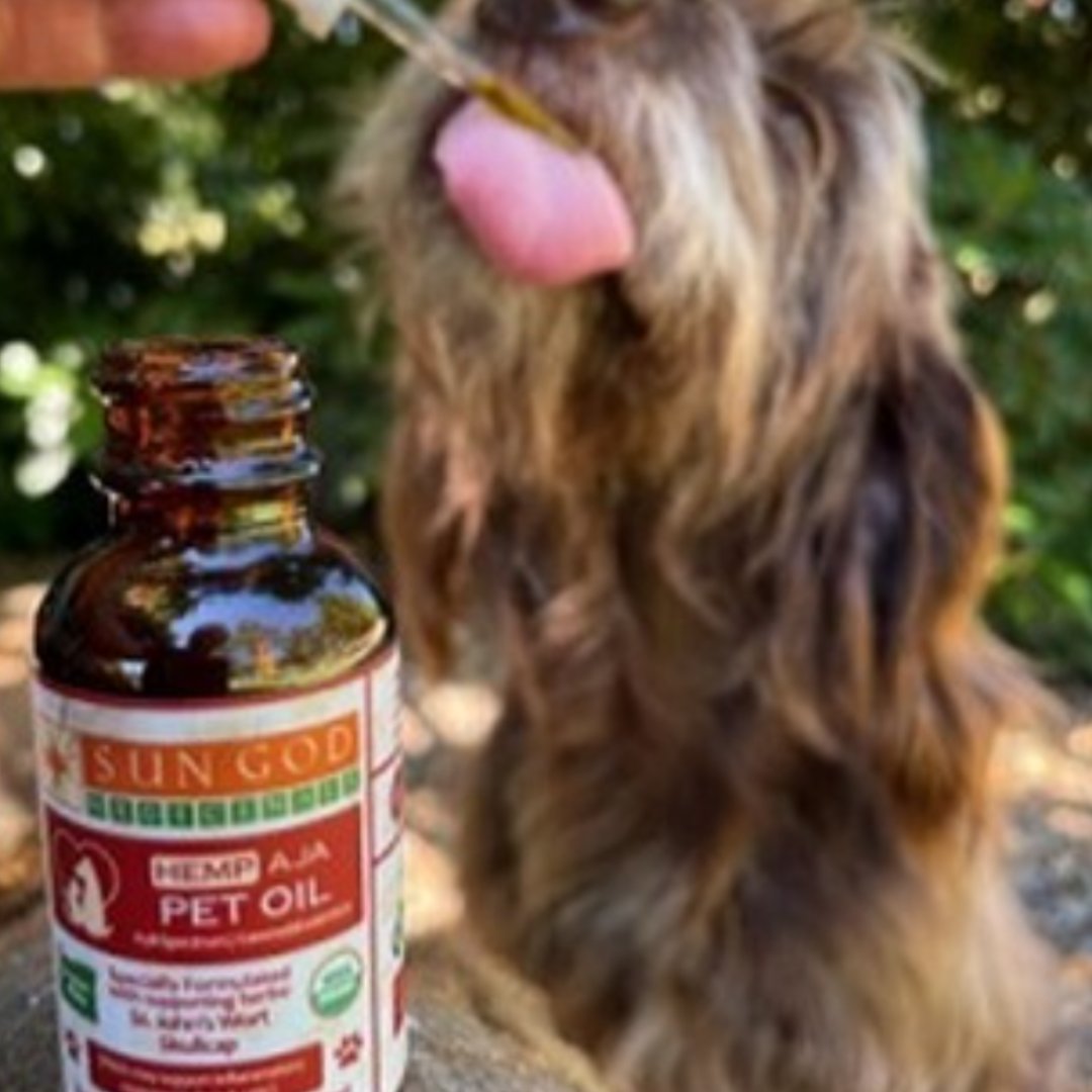 SunGodMeds's tweet photo. Give your pets the gift of relief.
.
.
Photo - @mckenziefeed.pet
.
#furbaby #dogsofinstagram #hemp #tincture #sungod https://t.co/0G0NZ9NoxM