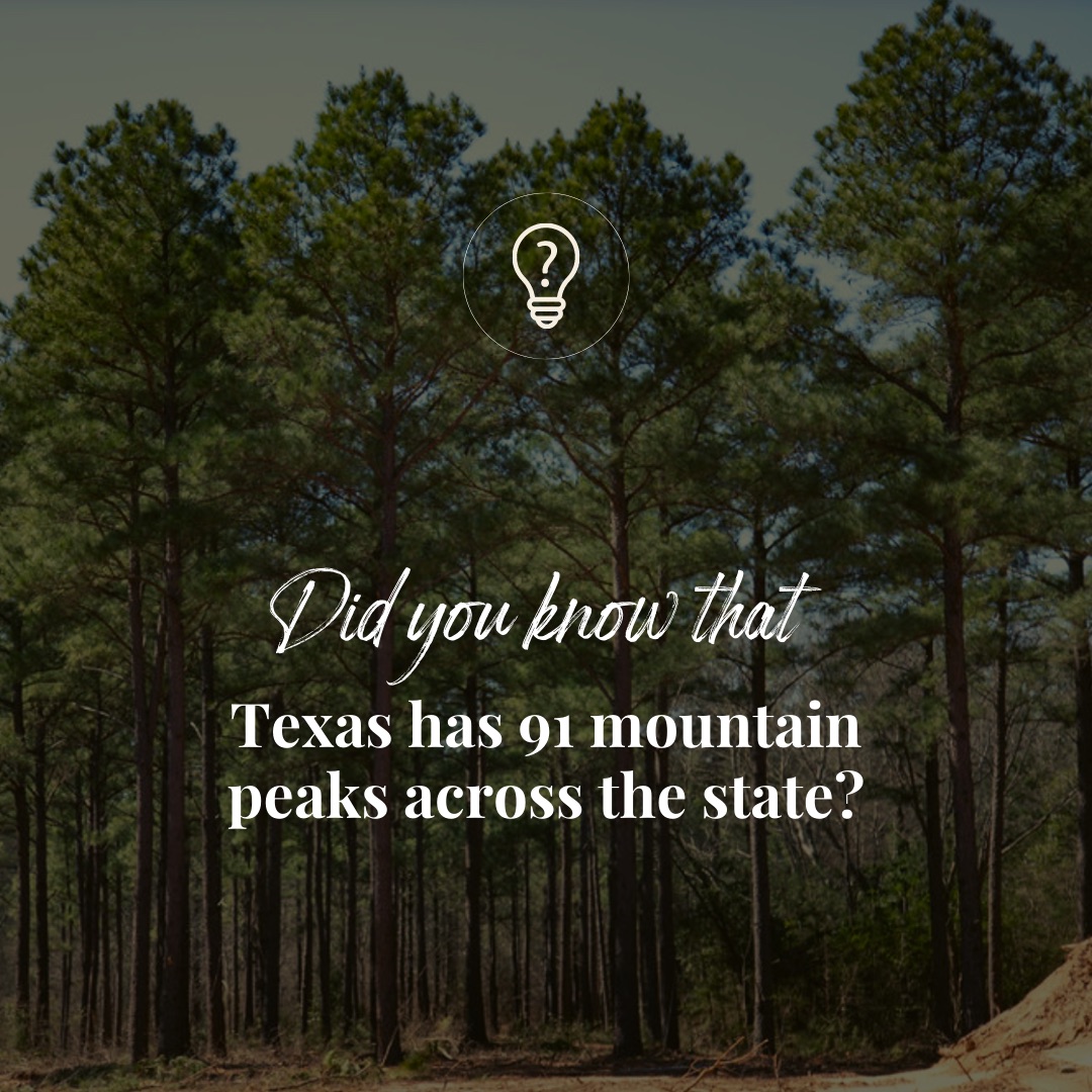 Did you know that Texas is second only to Alaska in land area? With a state so big, there are many variations in landscape and climate. Just one more reason to love our Lone Star State! Learn more about how you can get your own piece of Texas here: heritagelandbank.com/types-loans