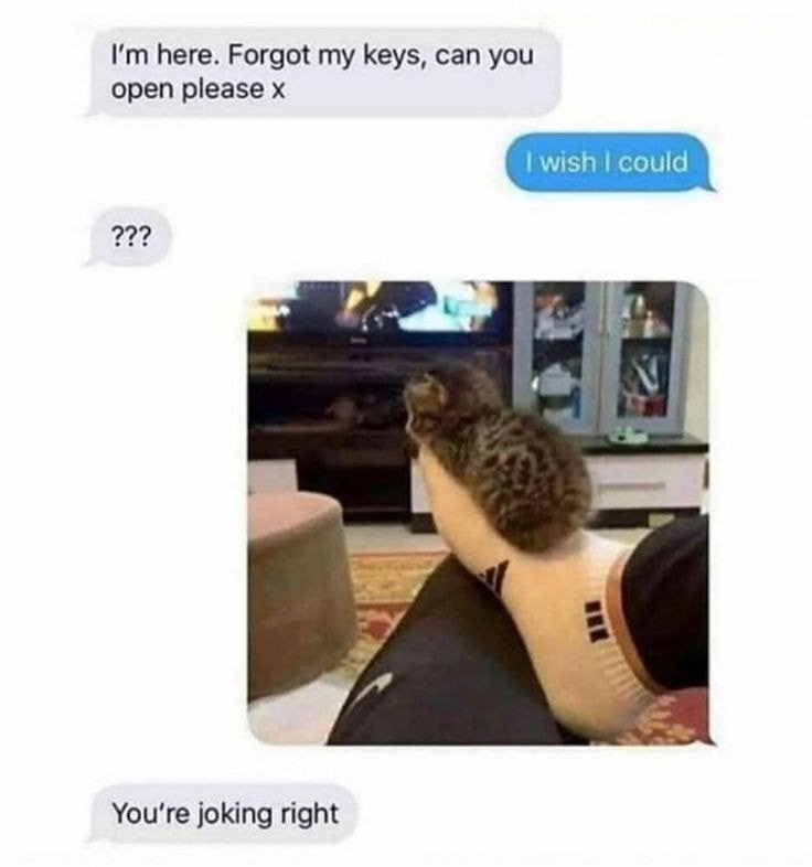 WholesomeMeme's tweet photo. https://t.co/UBBFPPufO8