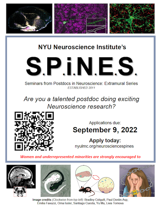 NYULH_Neuro's tweet photo. Hi #neuropostdocs! Don’t miss this opportunity to give a talk at #NYUSPiNES if you will be on the job market soon. 

Come connect and discuss your work with us. A fun visit with our faculty and postdocs is guaranteed! 

Applications due September 9: https://t.co/ARpQ3OYbHF https://t.co/u8IgoXPKvR