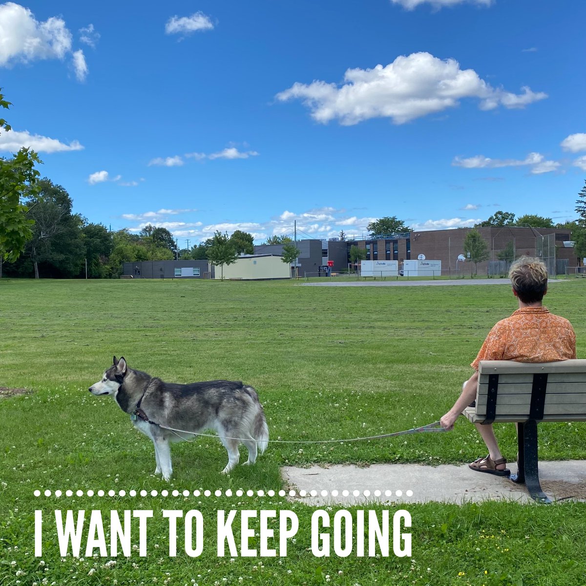 HuskyToTheMax's tweet photo. Why would I do a sits and a looks when I can do a walks and a sniffs? https://t.co/iQr7KkGE40