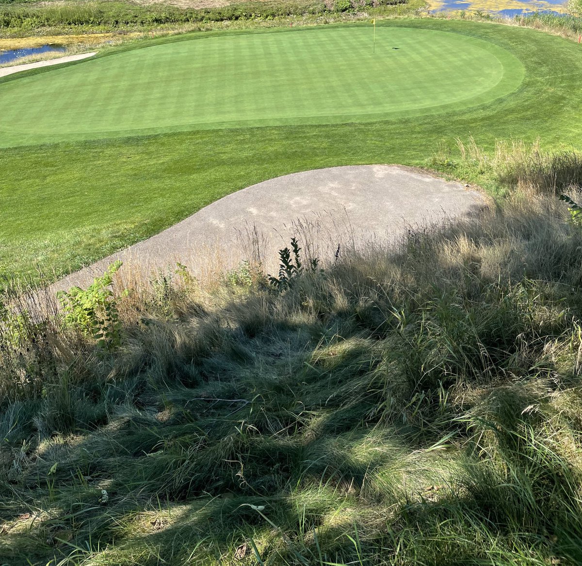 Mike Maly tweet media