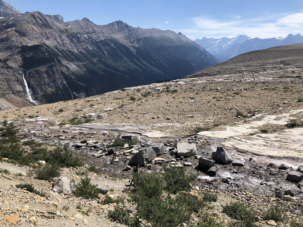 Ian Wilson tweet media