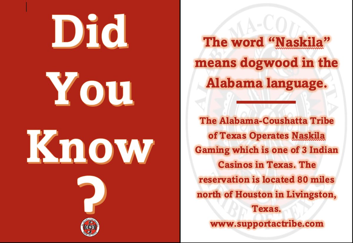 SupportACTribe's tweet image. Here's a "Did You Know?" fact for you! Who loves going to Naskila? Comment with a "❤️" if you do! 👇

👉For more information about Support AC Tribe, click here: ow.ly/vjC550Kia9h