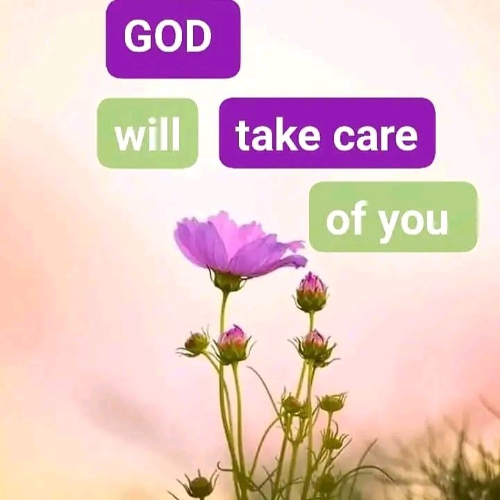 Kevin James tweet media