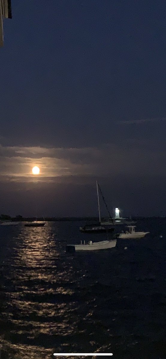 EdMar1023's tweet photo. #ToTheMoon #SailorDelight #MoonTides #WAGMI https://t.co/sAlHO9D9mz