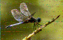 ML_HH's tweet photo. @SWRadiogram Nice transmission today on 9265 kHz to Germany. Only little fading and stabil signal around S8 on my SunSDR. Thanks Kim &amp; team for this fine SWRadiogram, have a nice weekend! 73 https://t.co/yaUTfF6TZN