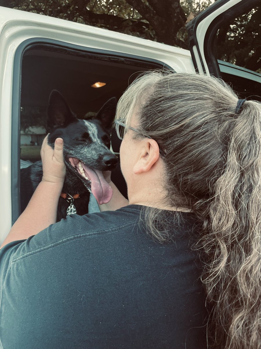 GrandSlamDairy's tweet photo. My mom saying goodbye to our boy🤍 https://t.co/cI6ZEq0x1O