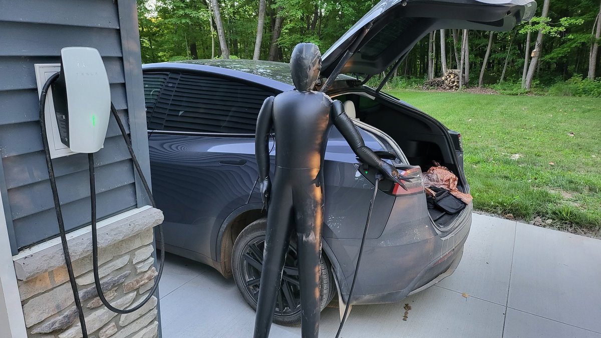 Dirty Tesla tweet media
