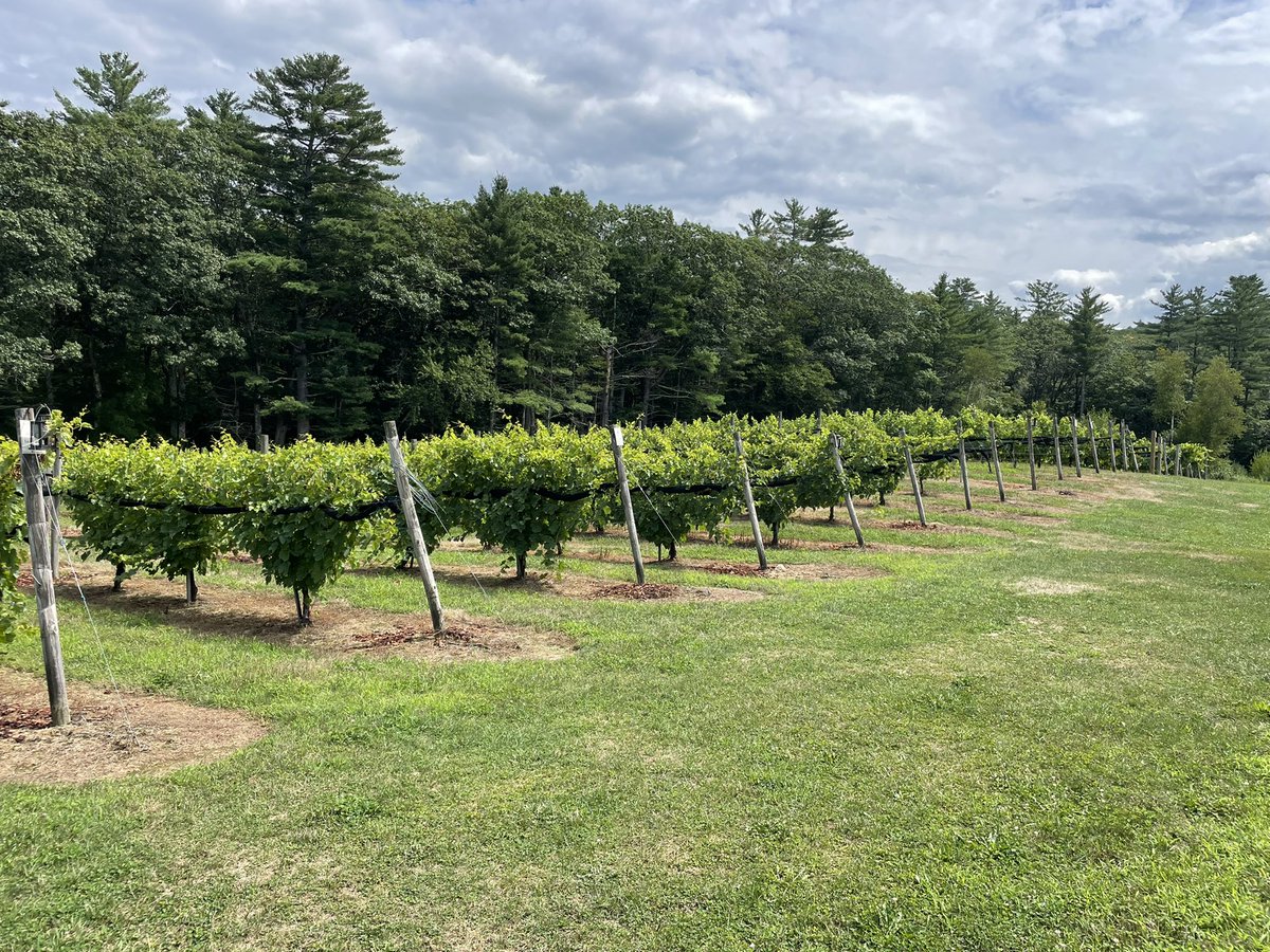 collins_at's tweet photo. After wine tasting this afternoon @Coppock_JA and I ran a quick 4.5 miles on the railway trail. So you CAN drink wine and then run 🏃🏼♀️🍷#solidplan https://t.co/Ctknm2CzPl